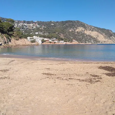 Mas Del Sol 4* Vall-Llobrega