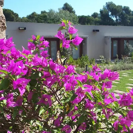 Hotel Mas Del Sol 4*
