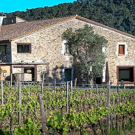 Mas Del Sol Hotel Vall-Llobrega