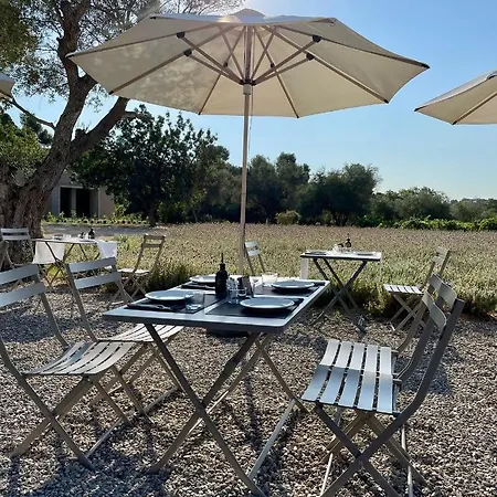 فندق Mas Del Sol فاي يوبريغا