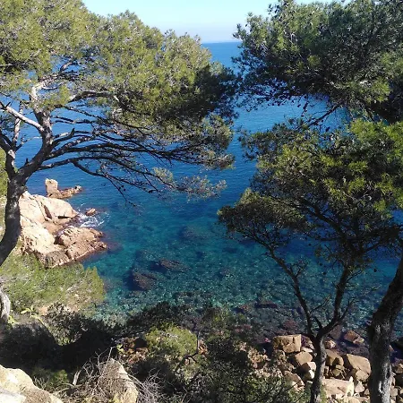 فندق Mas Del Sol