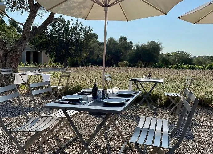 Hotel Mas Del Sol Vall-Llobrega