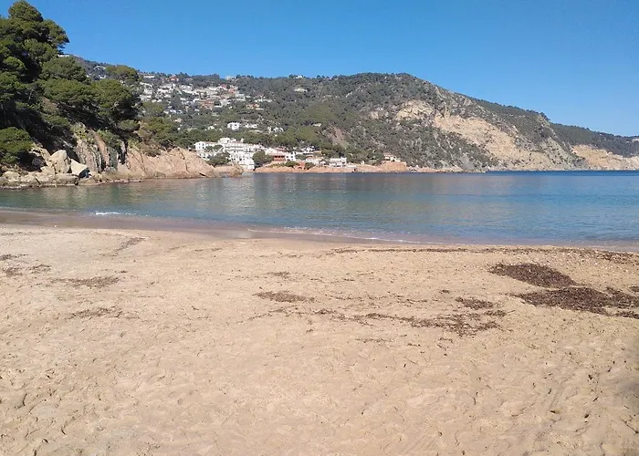 Mas Del Sol 4* Vall-Llobrega